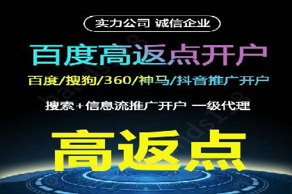 竞价推广中的数据监控与分析：某行业头部企业的成功经验
